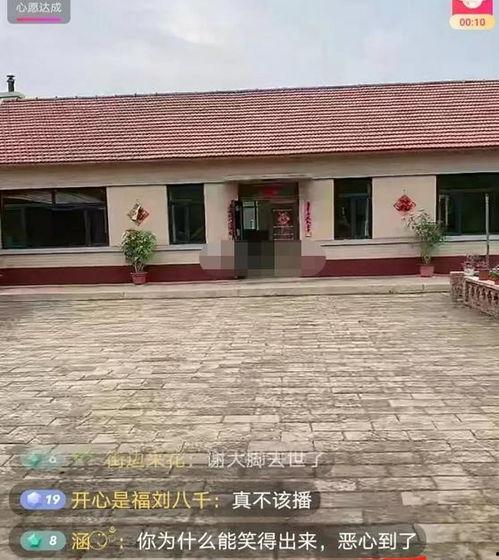 网红怎么都去农村了,聚焦农村，探寻乡村振兴新篇章