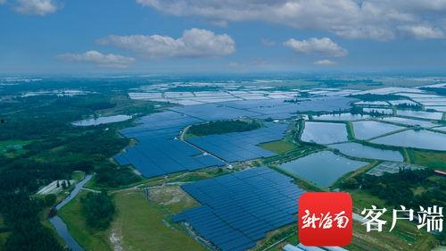南宁大唐水库新闻头条,新进展揭示生态保护与水利建设新篇章