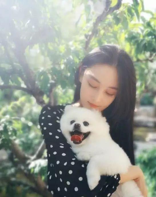 明星的宠物狗照片大全,宠物狗照片大全