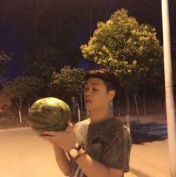 穿越七零摆烂吃瓜,摆烂吃瓜，笑看风云变幻