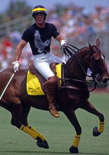 马球 明星,探寻马球界璀璨星辰