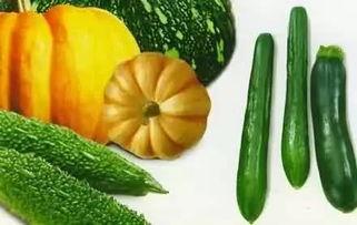 吃瓜小云,揭秘娱乐圈那些不为人知的幕后故事