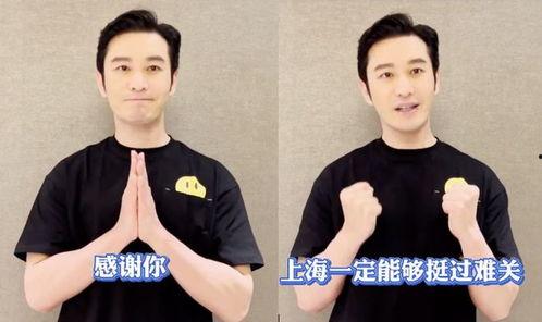 明星为上海发声视频,明星共筑城市荣光