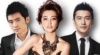 明星项目有什么风险,揭秘潜在风险与应对策略