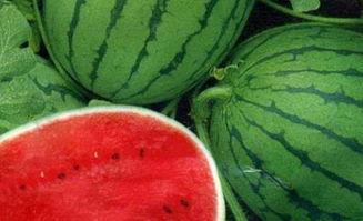 人生建议不要随便吃瓜,拒绝盲目跟风，理性看待“吃瓜”现象