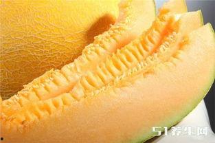 吃鸡馥郁哈密瓜,吃鸡时的清新伴侣