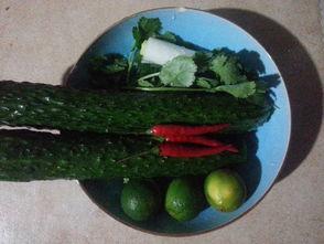 德国吃酸瓜,酸中带甜的味蕾之旅